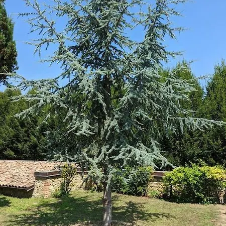Incantevole In Dell'800 Lejlighed *