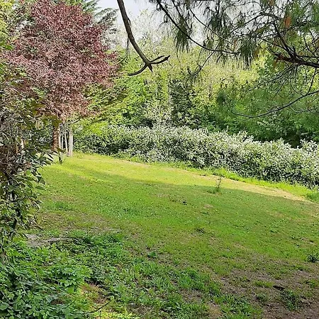 Incantevole In Dell'800 * Groppovisdomo