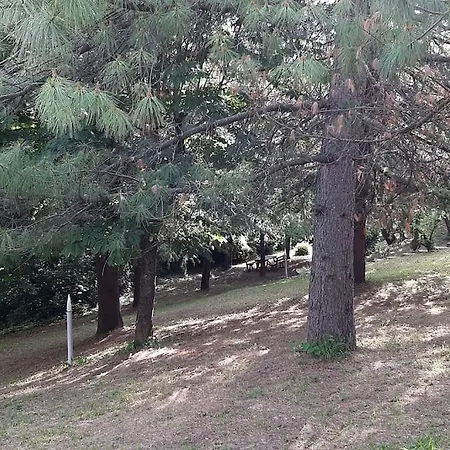 Incantevole In Dell'800 Groppovisdomo